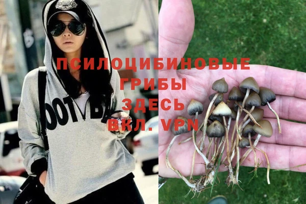 mix Алексеевка