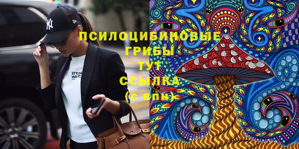 ГАЛЛЮЦИНОГЕННЫЕ ГРИБЫ Алзамай
