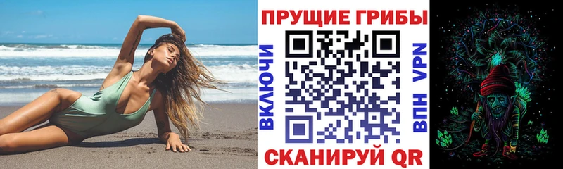 Галлюциногенные грибы Psilocybine cubensis  сколько стоит  Фатеж 